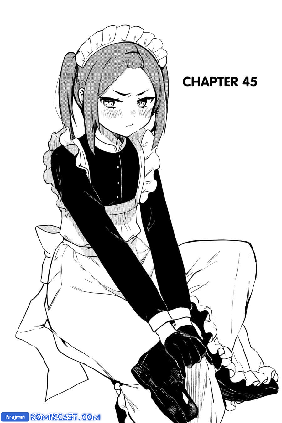 My Recently Hired Maid Is Suspicious (Serialization)